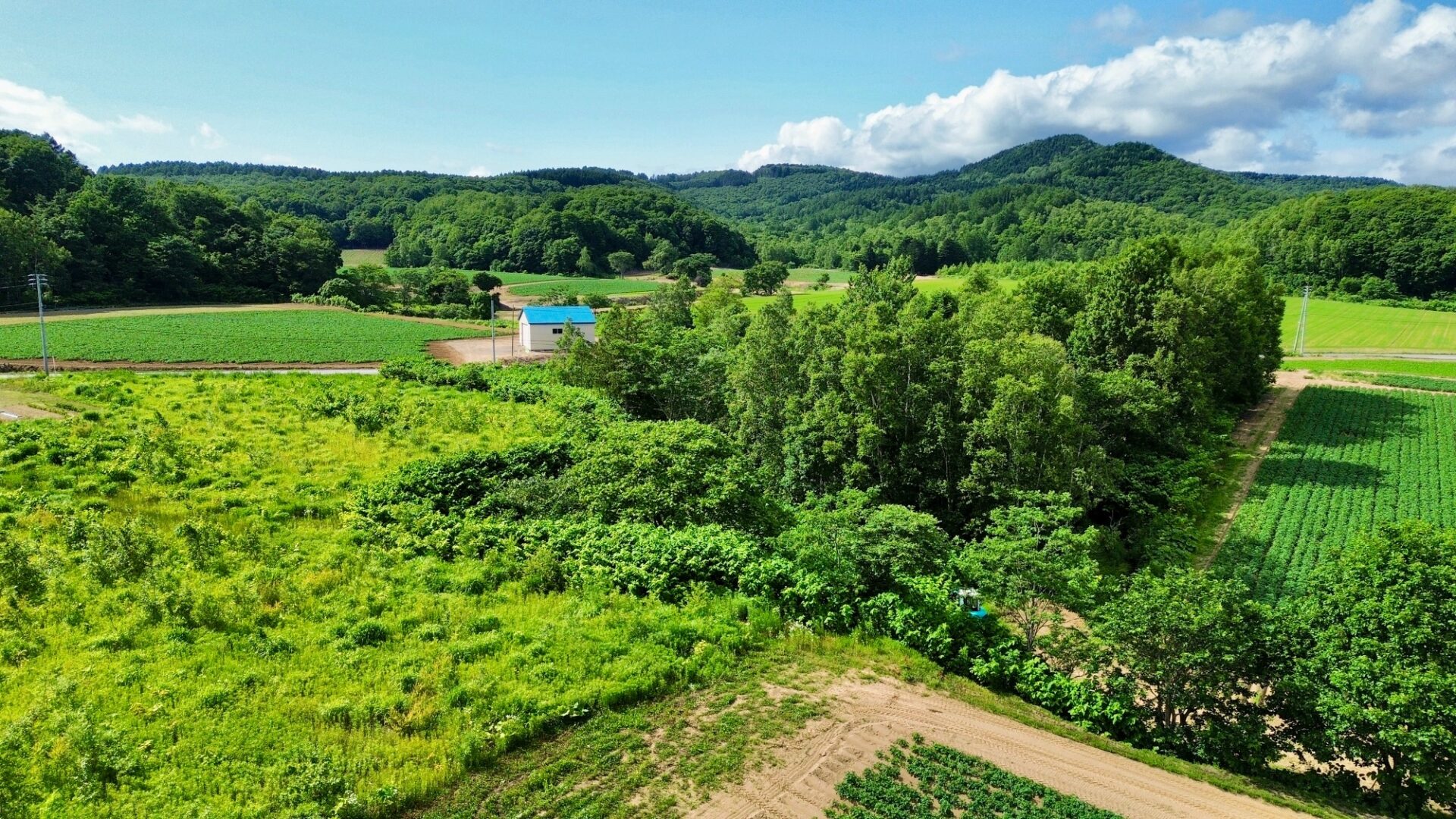 Togeshita Mt. Yotei Views Land