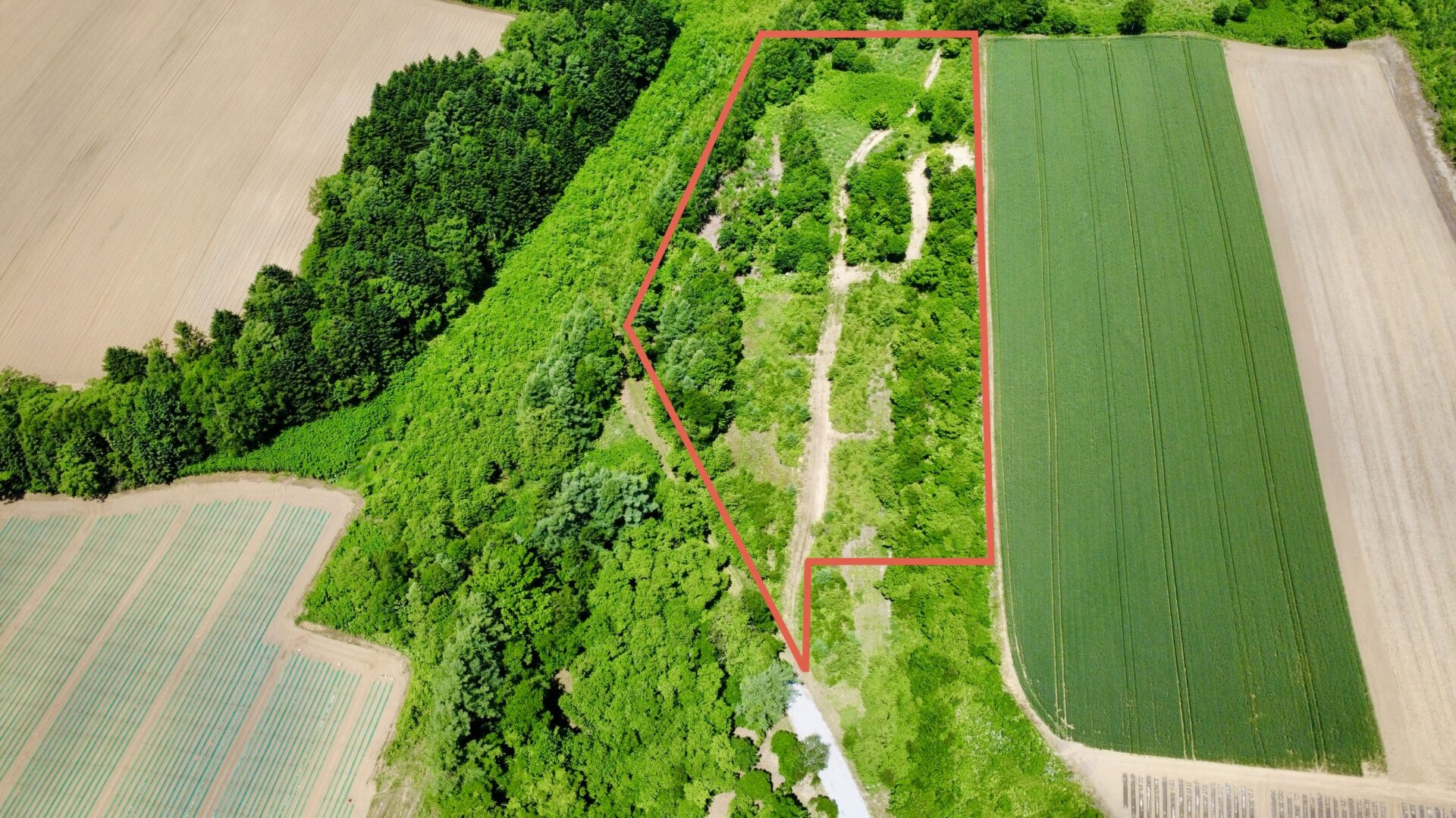 Rusutsu Beautiful Land Block A