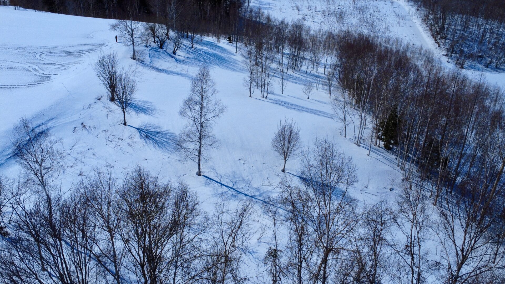 Rusutsu Beautiful Land Block B