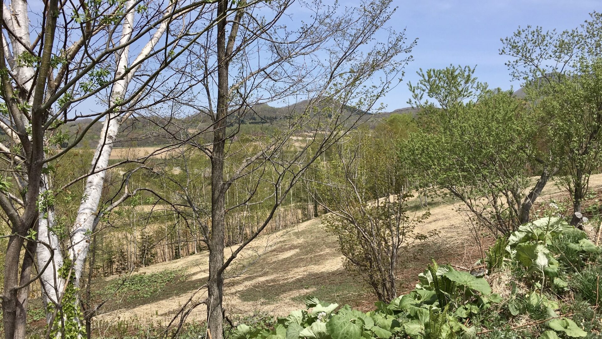Rusutsu Beautiful Land Block B