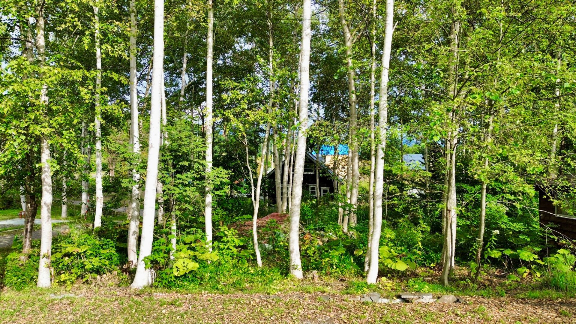 Makkari Residential Land